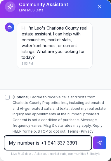 Screenshot of the live website chat window showing the optional, unchecked text consent checkbox